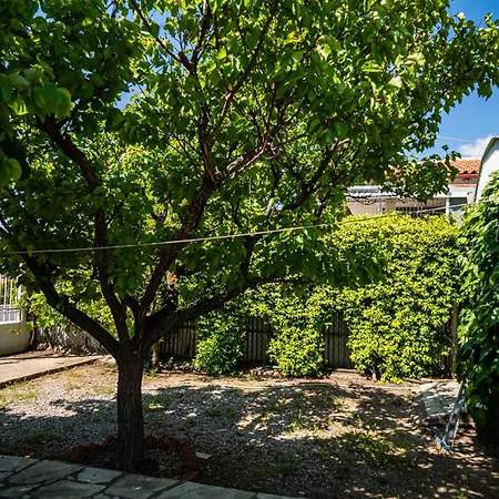 The Garden #x006 Feel Greek